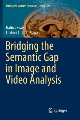 Bridging the Semantic Gap in Image and Video Analysis(English, Paperback, unknown)