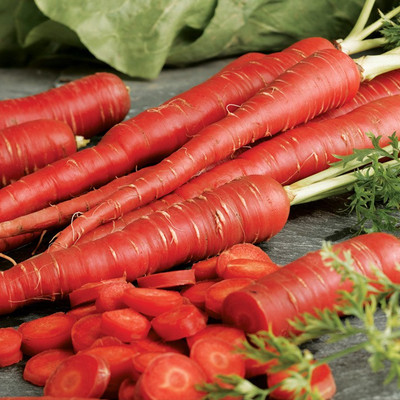 SimXotic Carrot Red Seeds for Terrace Garden - Pack of 200 Seeds Seed(200 per packet)
