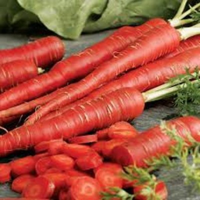 R-DRoz Red Carrot Vegetables Seeds - Pack of 100 Seeds Premium Quality Seed(100 per packet)