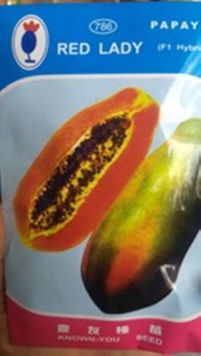 FRESH SEEDS Red Lady F1 Hybrid 786 Papaya Seeds( 500 Seeds )(RDLDD-380) Seed(500 per packet)