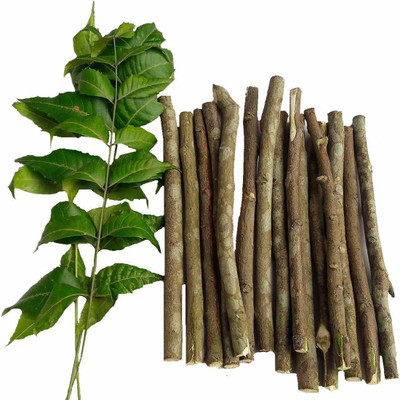 Corofitam Natural Neem Chew Sticks/Tree Datun Twigs Organic Toothbrush Pack of 40 Hard Toothbrush(Pack of 40)