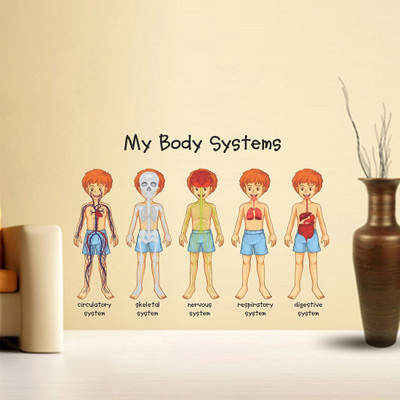Littlebuds 90 cm My Body System Removable Sticker(Pack of 1)