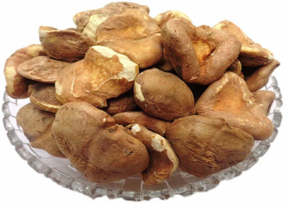 WILD FOREST SINGHARA Seed(200 per packet)