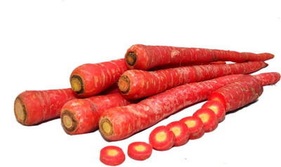 XOLDA Carrot Red Seed(30 per packet)