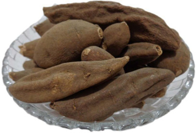 WILD FOREST UD SALEEB Seed(100 per packet)