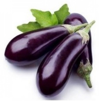 R-DRoz Brinjal Purple Long Quality Seeds - Pack of 40 F-1 Hybrid Seeds Seed(40 per packet)