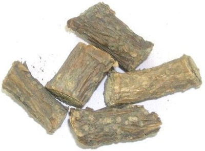 WILD FOREST GILOY Seed(400 per packet)