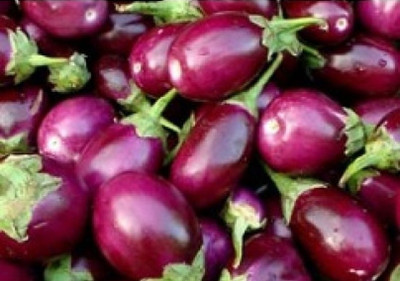 R-DRoz ChuChu Brinjal Seeds - Pack of 50 Seeds F-1 Hybrid Seed(50 per packet)