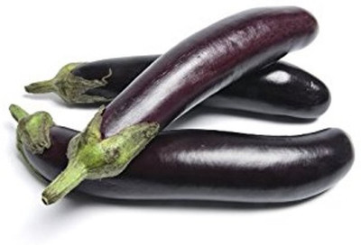 R-DRoz Seeds Brinjal Purple Long Best Quality Seeds - Pack of 50 F-1 Hybrid Seeds Seed(50 per packet)