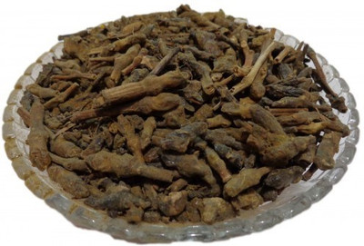 WILD FOREST BHIKAMALI Seed(400 per packet)