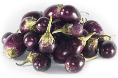 R-DRoz Seeds ChuChu Brinjal Seeds - Pack of 50 Seeds F-1 Hybrid Seed(50 per packet)