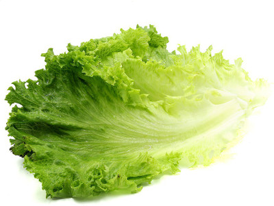 seedagro Lettuce Seed(100 per packet)