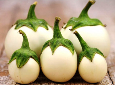 R-DRoz Brinjal White Small Variety Hybrid Seeds - Pack of 50 Seeds F-1 Hybrid Seed(50 per packet)