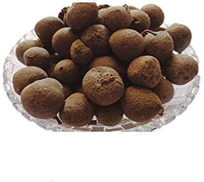 WILD FOREST GULAR PHAL Seed(400 per packet)