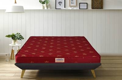 Springtek Amaze Eco 4 inch Double High Density (HD) Foam Mattress
