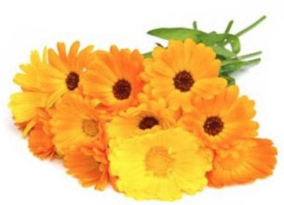 R-DRoz Calendula Flowers Seeds Seed(30 per packet)
