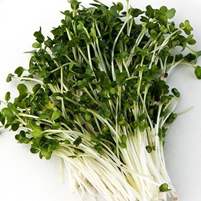 Qualtivate Broccoli Brassica Leaf, Mixed seeds Seed(150 per packet)