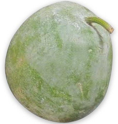 Aywal Ash Gourd Hybrid Mitahi Petha Seed(30 per packet)