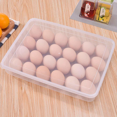 Coozico Plastic Egg Container  - 2 dozen(White)