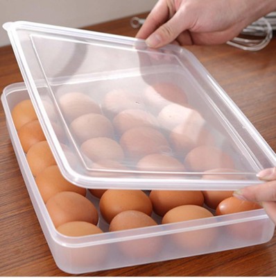 Adhunyk Plastic Egg Container  - 2 dozen(Clear)