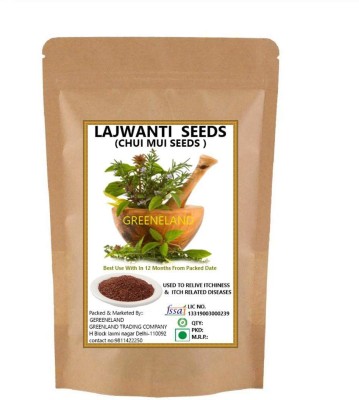 GREENELAND LAJWANTI SEEDS / CHUI MUI SEEDS / SENSITIVE PLANT SEEDS / MIMOSA PUDICA SEEDS Seed(100 per packet)