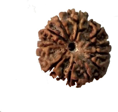 om rudraksha 10 mukhi rudraksha Wood