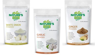 Nature's Precious Gift Onion Powder, Garlic Powder & Ginger Powder - 1 KG Each Combo Pack(3 x 1 kg)