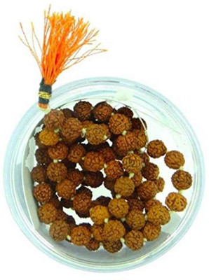 Rasania Ashokkumar D Unisex Rudraksha Maal 108+1 Beads Copper Yantra(Pack of 1)