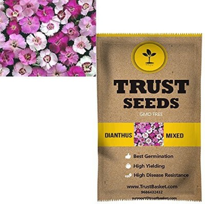 TrustBasket Dianthus mixed Flowers Seeds (GMO Free) Seed(20 per packet)