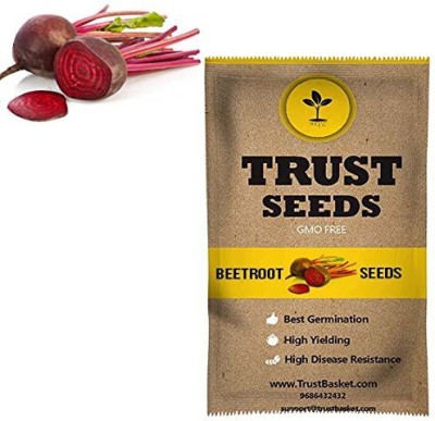 TrustBasket Beetroot Vegetable Seeds (Gmo Free) Seed(20 per packet)