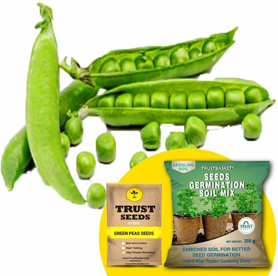 TrustBasket Green Peas (Hybrid) Seeds with Free Germination Potting Soil Mix Seed(20 per packet)