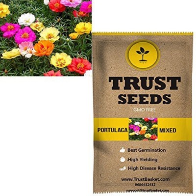 TrustBasket Portulaca Mixed Flowers Seeds (GMO Free) Seed(20 per packet)