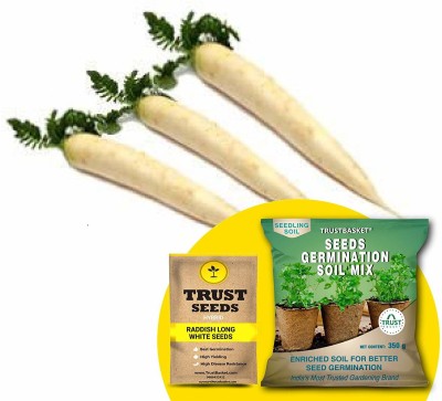 TrustBasket Radish Long White (Hybrid) Seeds with Free Germination Potting Soil Mix Seed(20 per packet)