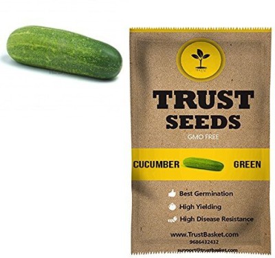 TrustBasket Cucumber Green Vegetable Seeds (Gmo Free) Seed(20 per packet)