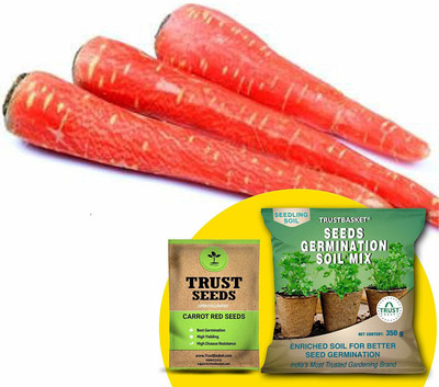 TrustBasket Carrot Red (OP/Desi) Seeds with Free Germination Potting Soil Mix Seed(20 per packet)