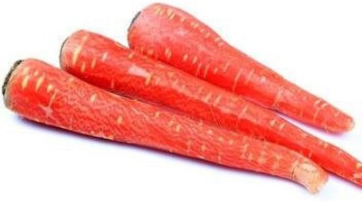 TrustBasket Open Pollinated Carrot red Seeds Seed(20 per packet)
