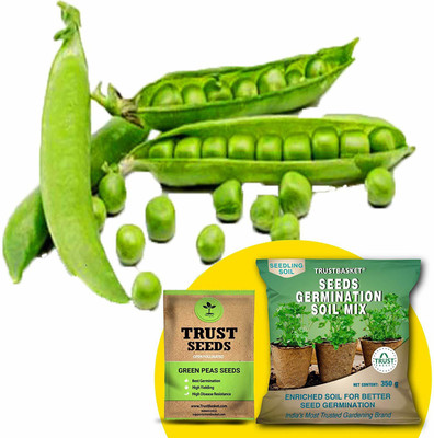 TrustBasket Green Peas (OP/Desi) Seeds with Free Germination Potting Soil Mix Seed(20 per packet)