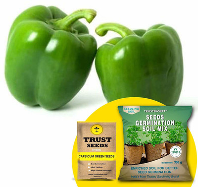 TrustBasket Capsicum Green (Hybrid) Seeds with Free Germination Potting Soil Mix Seed(20 per packet)