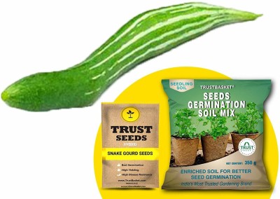 TrustBasket Snake Gourd (Hybrid) Seeds with Free Germination Potting Soil Mix Seed(20 per packet)