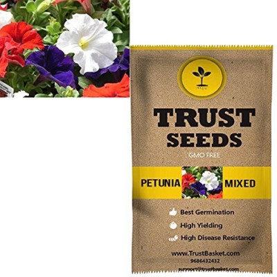 TrustBasket Petunia mixed Flowers Seeds (GMO Free) Seed(20 per packet)