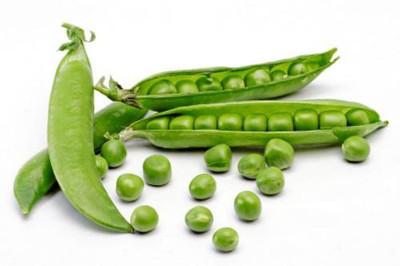 TrustBasket Open Pollinated Green Peas Seeds Seed(20 per packet)