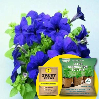 TrustBasket Petunia Blue (Hybrid) Seeds with Free Germination Potting Soil Mix Seed(20 per packet)