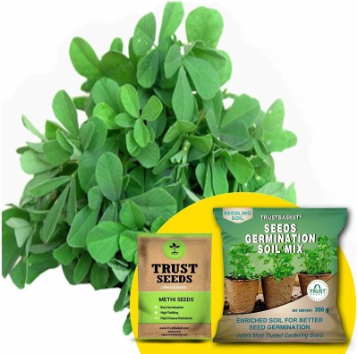 TrustBasket Methi (OP/Desi) Seeds with Free Germination Potting Soil Mix Seed(20 per packet)