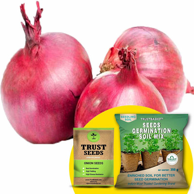TrustBasket Onion (OP/Desi) Seeds with Free Germination Potting Soil Mix Seed(20 per packet)