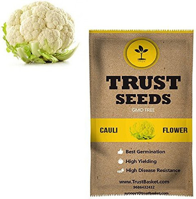 TrustBasket Open Pollinated Sweet William Flower Seeds Seed(20 per packet)