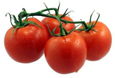TrustBasket Open Pollinated Tomato Round Seeds Seed(20 per packet)