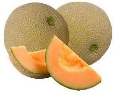 TrustBasket Open Pollinated Musk Melon Seeds Seed(20 per packet)