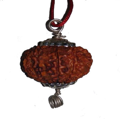 om rudraksha 9 mukhi rudraksha Wood