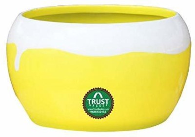 TrustBasket Table Top Planter Bowl with Saucer - Yellow Plant Container Set(Ceramic)