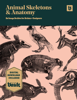 Animal Skeletons and Anatomy(English, Paperback, Kale James)